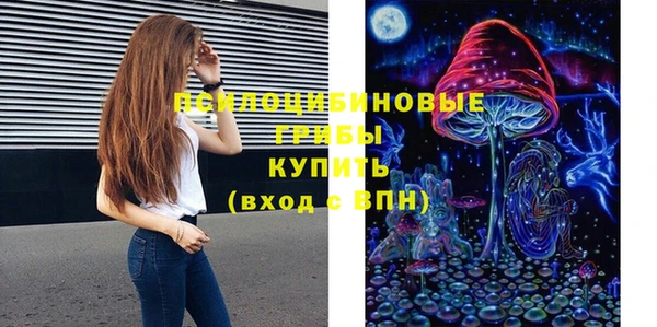 СК Козельск