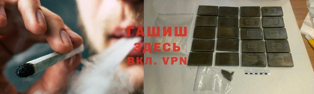 сатива Кодинск