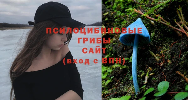 СК Козельск