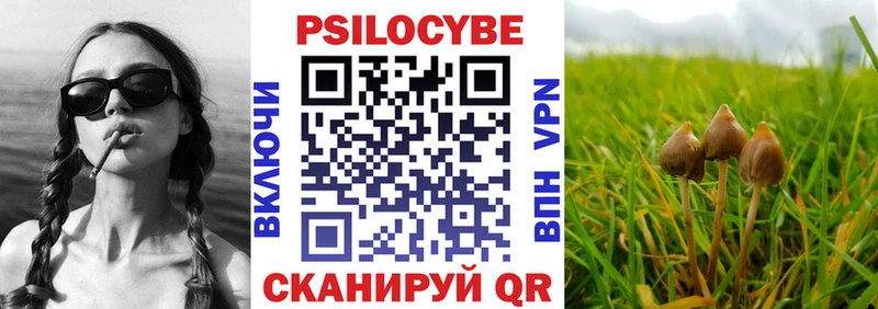 наркотики  Лихославль  Псилоцибиновые грибы Magic Shrooms 